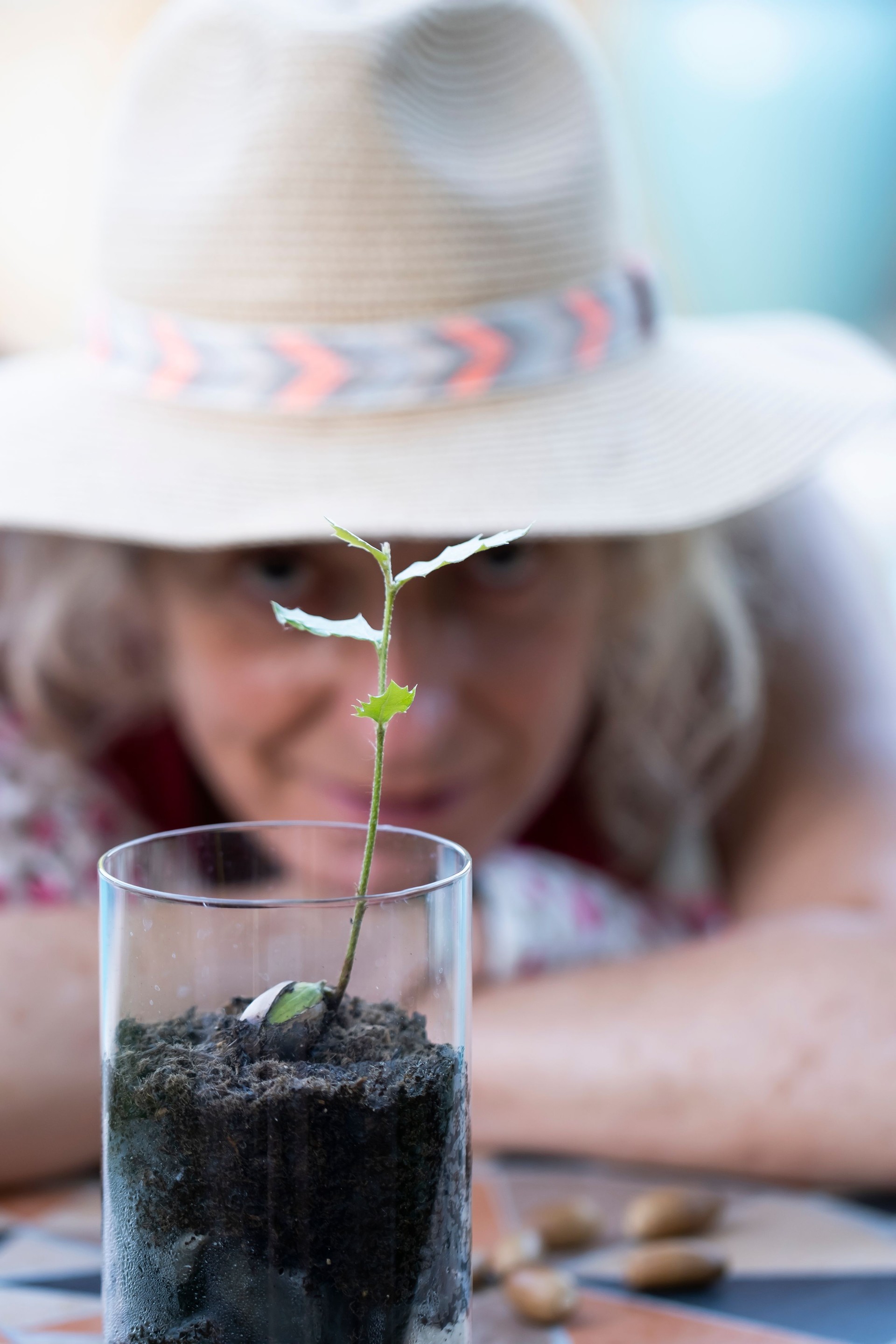 Woman gardener admiring a growing oak sprout in a glass vase