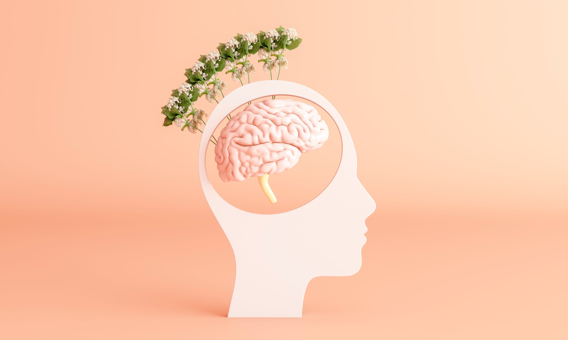 Positive Mindset - Mental Health