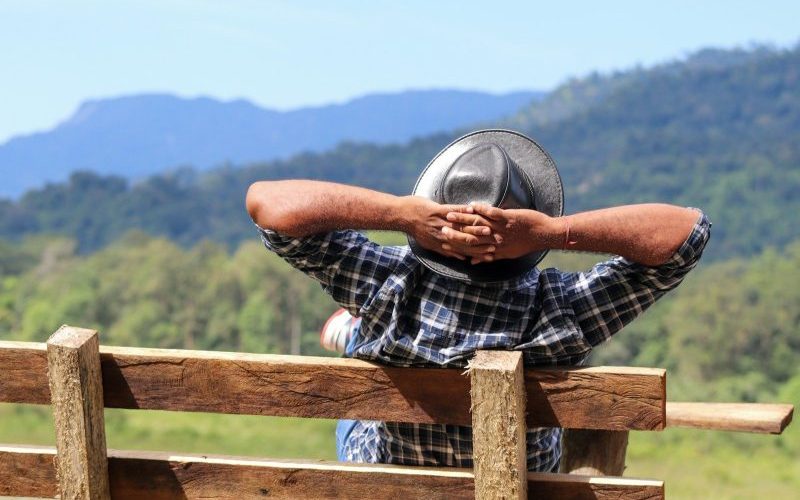 Emotional Competence and What Psychoanalysis Can Do for It